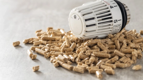 Can the EU Overcome Fossil Fuel Reliance to Boost Pellet Market Growth?