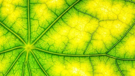 Powering Tomorrow Through Artificial Photosynthesis