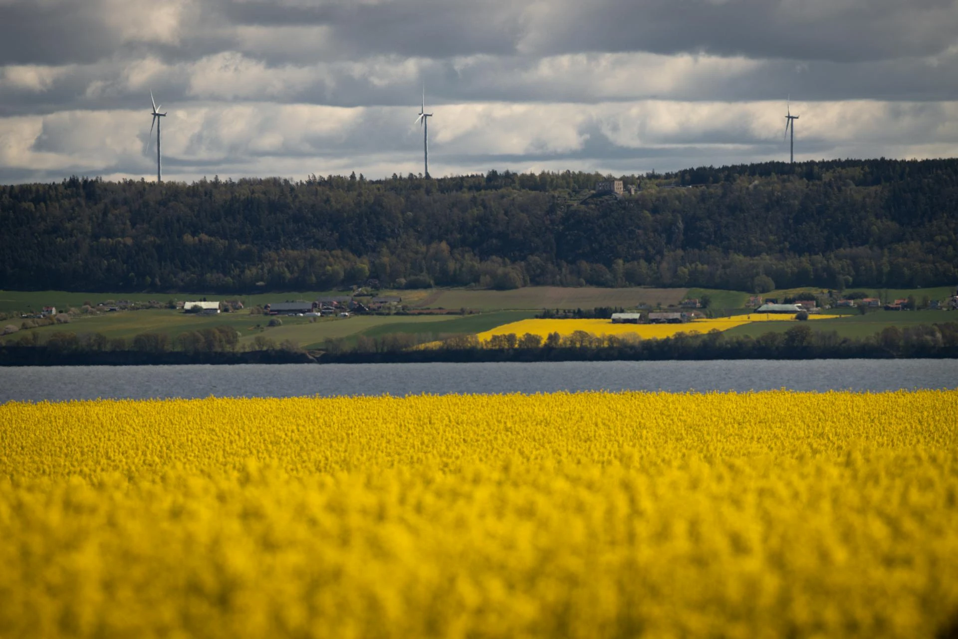 Fossil Fuel Leaders Embrace Energy Addition at ADIPEC 2025