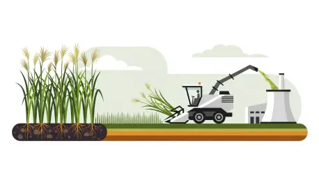 How Can a Plant Power a Nation’s Recovery?